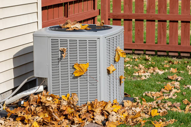 Best HVAC Repair Near Me  in Rossville, IN
